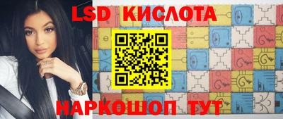 дживик Кингисепп