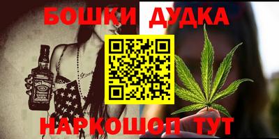 дживик Кингисепп