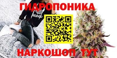 дживик Кингисепп