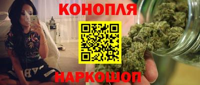 дживик Кингисепп
