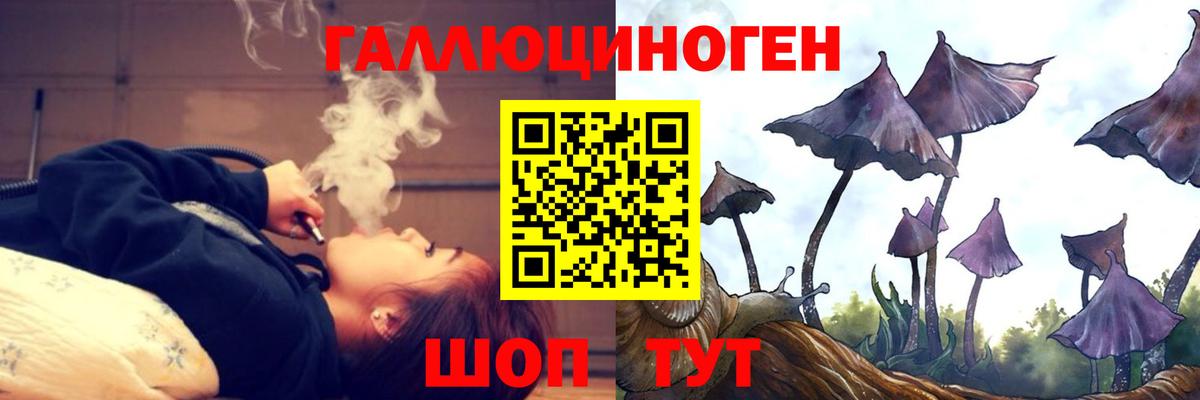 Галлюциногенные грибы Psilocybine cubensis Кумертау